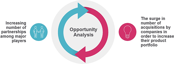 CHROMATOGRAPHIC SILICA RESIN MARKET